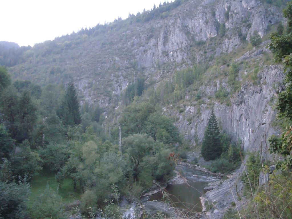 Pensiunea Piatra Mandrutului Aranyosfő Kültér fotó