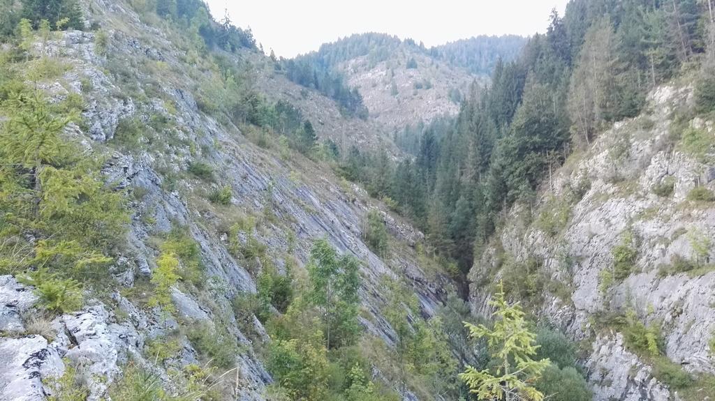 Pensiunea Piatra Mandrutului Aranyosfő Kültér fotó